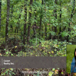 Property photo for land for sale in Fulton County Arkansas