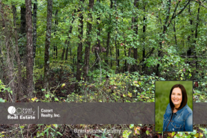 Property photo for land for sale in Fulton County Arkansas