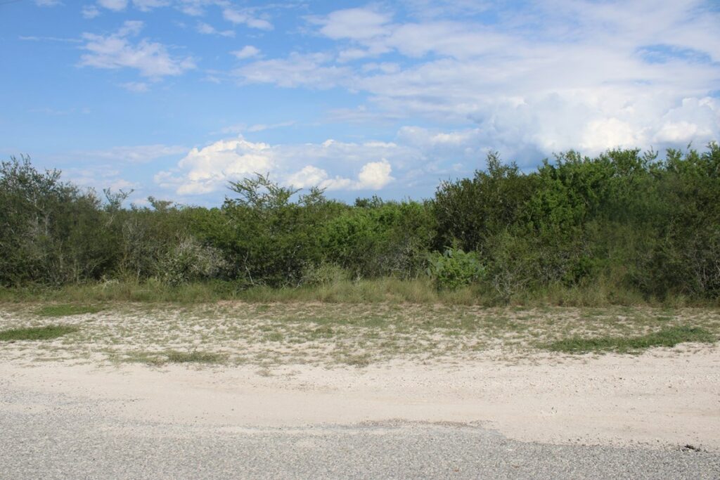 Property photo for land for sale in Jim Wells County Texas