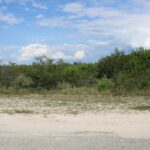 Property photo for land for sale in Jim Wells County Texas