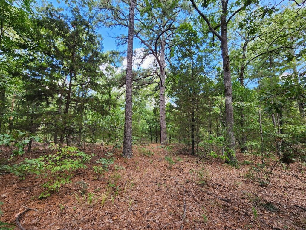 Property photo for land for sale in Le Flore County Oklahoma