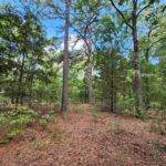 Property photo for land for sale in Le Flore County Oklahoma