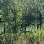 Property photo for land for sale in Cumberland County Kentucky