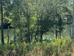 Property photo for land for sale in Cumberland County Kentucky