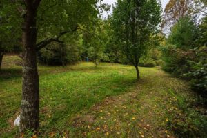 Property photo for land for sale in Alleghany County North Carolina