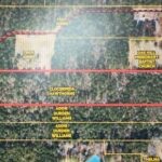 Property photo for land for sale in Harrison County Texas