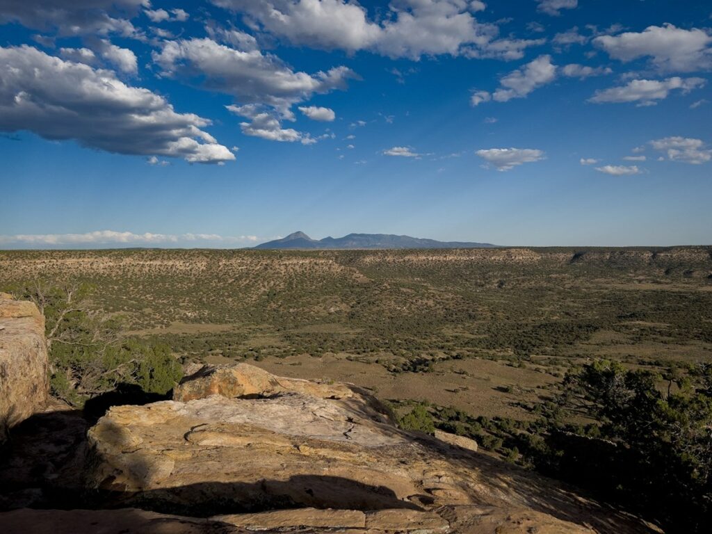 Property photo for land for sale in Montezuma County Colorado