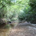 Property photo for land for sale in Lincoln County Mississippi