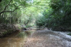 Property photo for land for sale in Lincoln County Mississippi