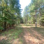 Property photo for land for sale in Fayette County Alabama