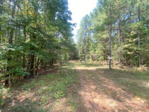 Property photo for land for sale in Fayette County Alabama