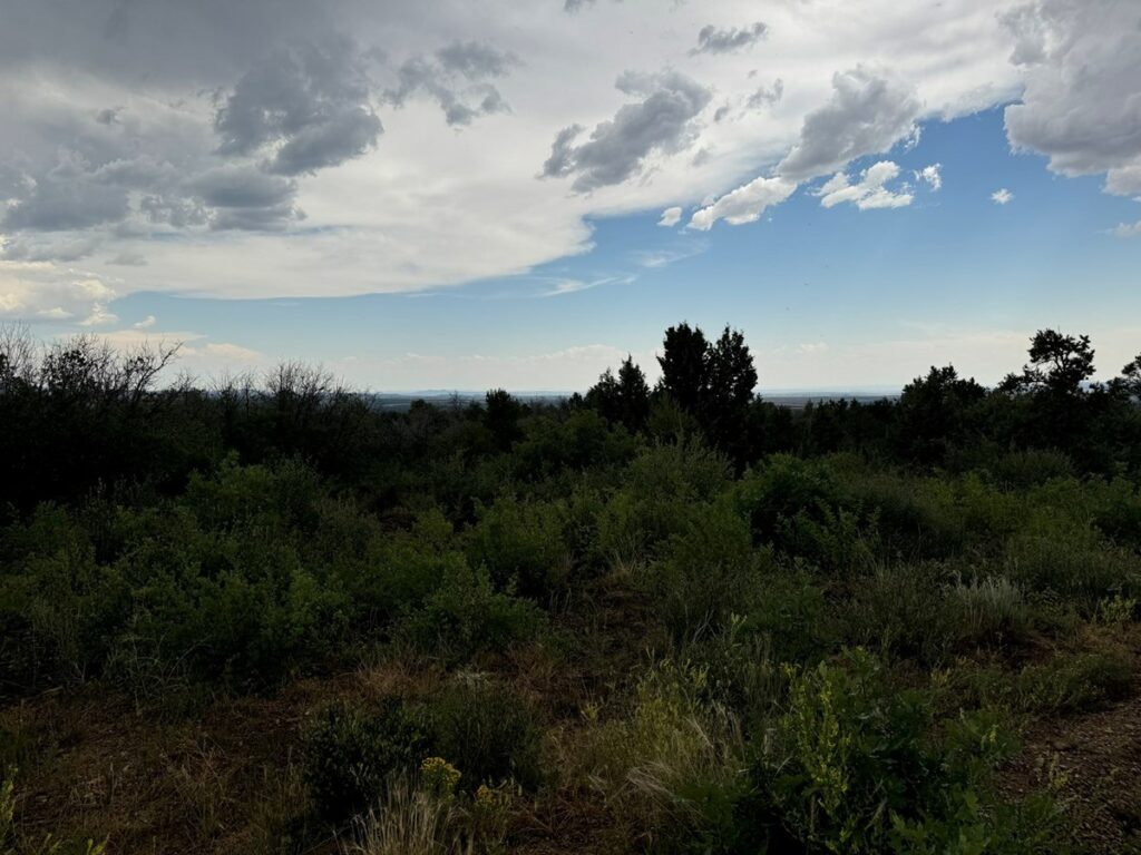 Property photo for land for sale in Montezuma County Colorado