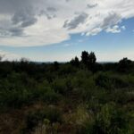 Property photo for land for sale in Montezuma County Colorado