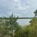 Property photo for land for sale in Hardin County Tennessee