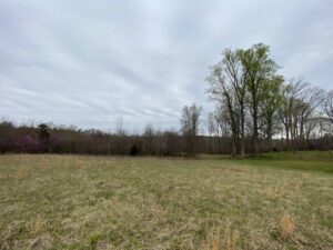 Property photo for land for sale in Mecklenburg County Virginia