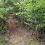 Property photo for land for sale in Lewis County Tennessee