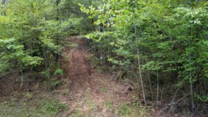 Property photo for land for sale in Lewis County Tennessee