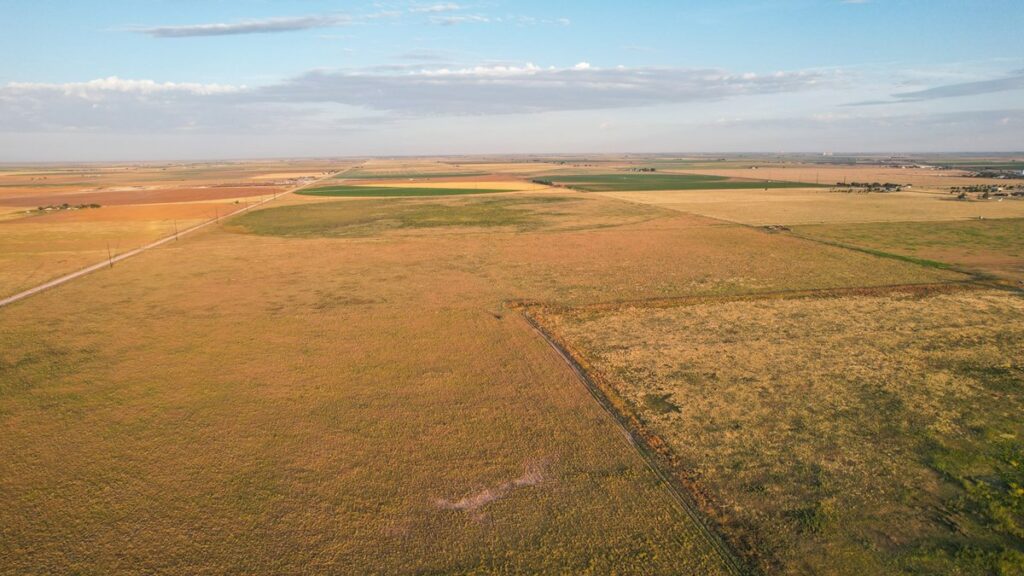 Property photo for land for sale in Bailey County Texas