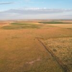 Property photo for land for sale in Bailey County Texas