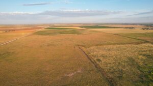 Property photo for land for sale in Bailey County Texas