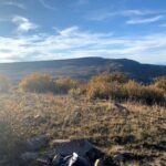 Property photo for land for sale in Dolores County Colorado