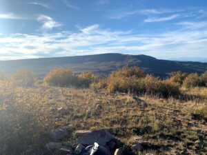 Property photo for land for sale in Dolores County Colorado