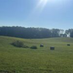 Property photo for land for sale in Warren County Kentucky