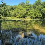 Property photo for land for sale in Clark County Arkansas