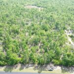 Property photo for land for sale in Lafayette County Florida