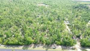 Property photo for land for sale in Lafayette County Florida