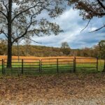 Property photo for land for sale in Ozark County Missouri