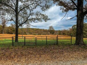 Property photo for land for sale in Ozark County Missouri