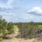 Property photo for land for sale in Brown County Texas