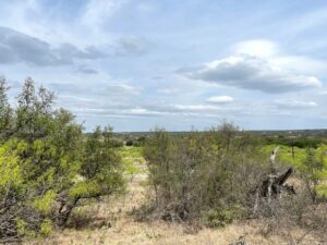 Property photo for land for sale in Brown County Texas