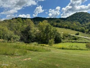 Property photo for land for sale in Hawkins County Tennessee