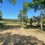 Property photo for land for sale in Lamar County Texas