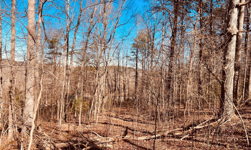 Property photo for land for sale in Grundy County Tennessee