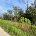 Property photo for land for sale in Levy County Florida