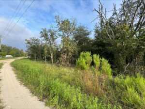 Property photo for land for sale in Levy County Florida