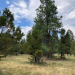 Property photo for land for sale in Ouray County Colorado