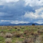 Property photo for land for sale in Coconino County Arizona