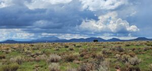 Property photo for land for sale in Coconino County Arizona