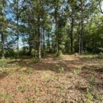 Property photo for land for sale in Crenshaw County Alabama