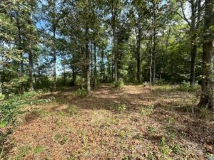 Property photo for land for sale in Crenshaw County Alabama