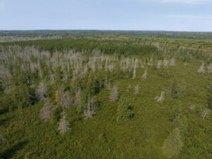 Property photo for land for sale in Ashland County Wisconsin