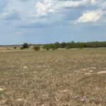 Property photo for land for sale in Wilson County Texas