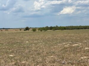 Property photo for land for sale in Wilson County Texas