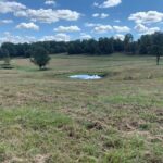 Property photo for land for sale in Ripley County Missouri