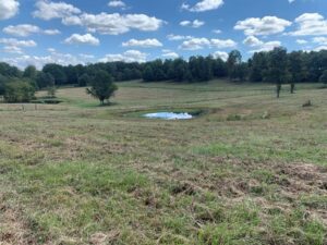 Property photo for land for sale in Ripley County Missouri