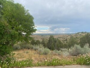 Property photo for land for sale in Montezuma County Colorado